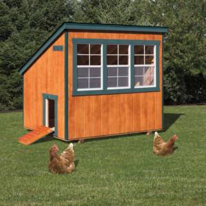 6 x 8 Chicken Coop.