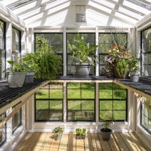 Greenhouse